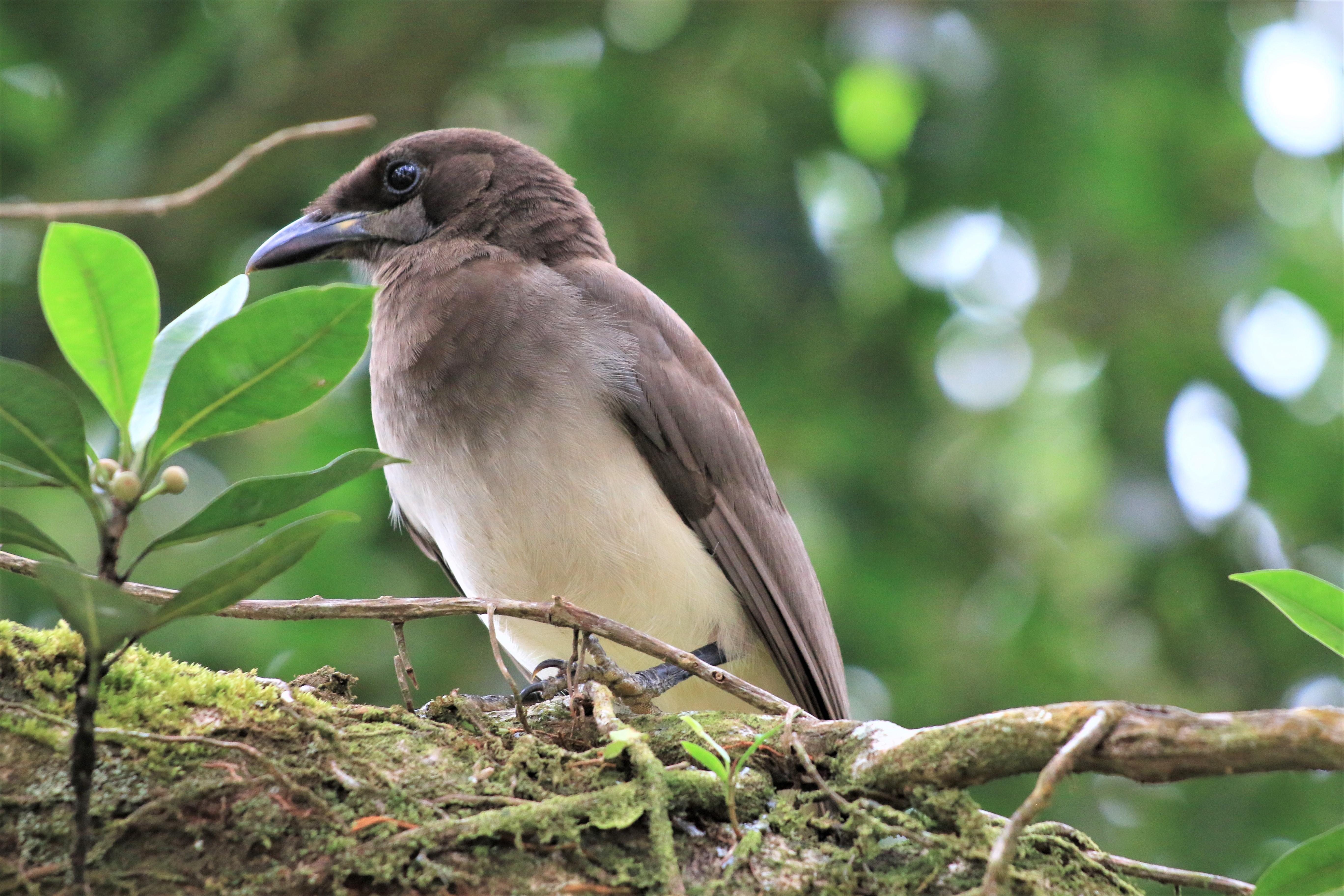 Costa Rica